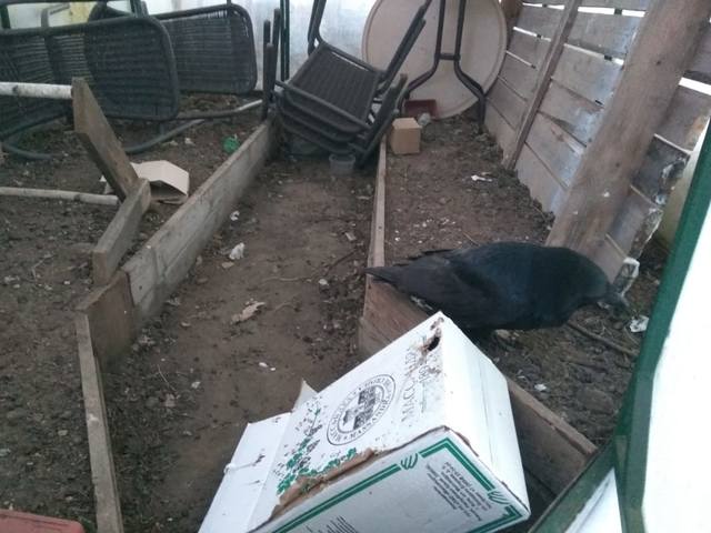 VFL.RU - ваш фотохостинг