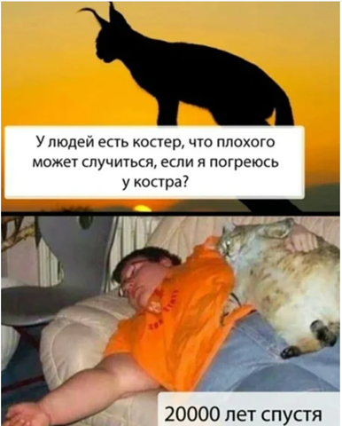 http://images.vfl.ru/ii/1613042237/347f7370/33295130_m.png