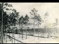 VFL.RU - ваш фотохостинг