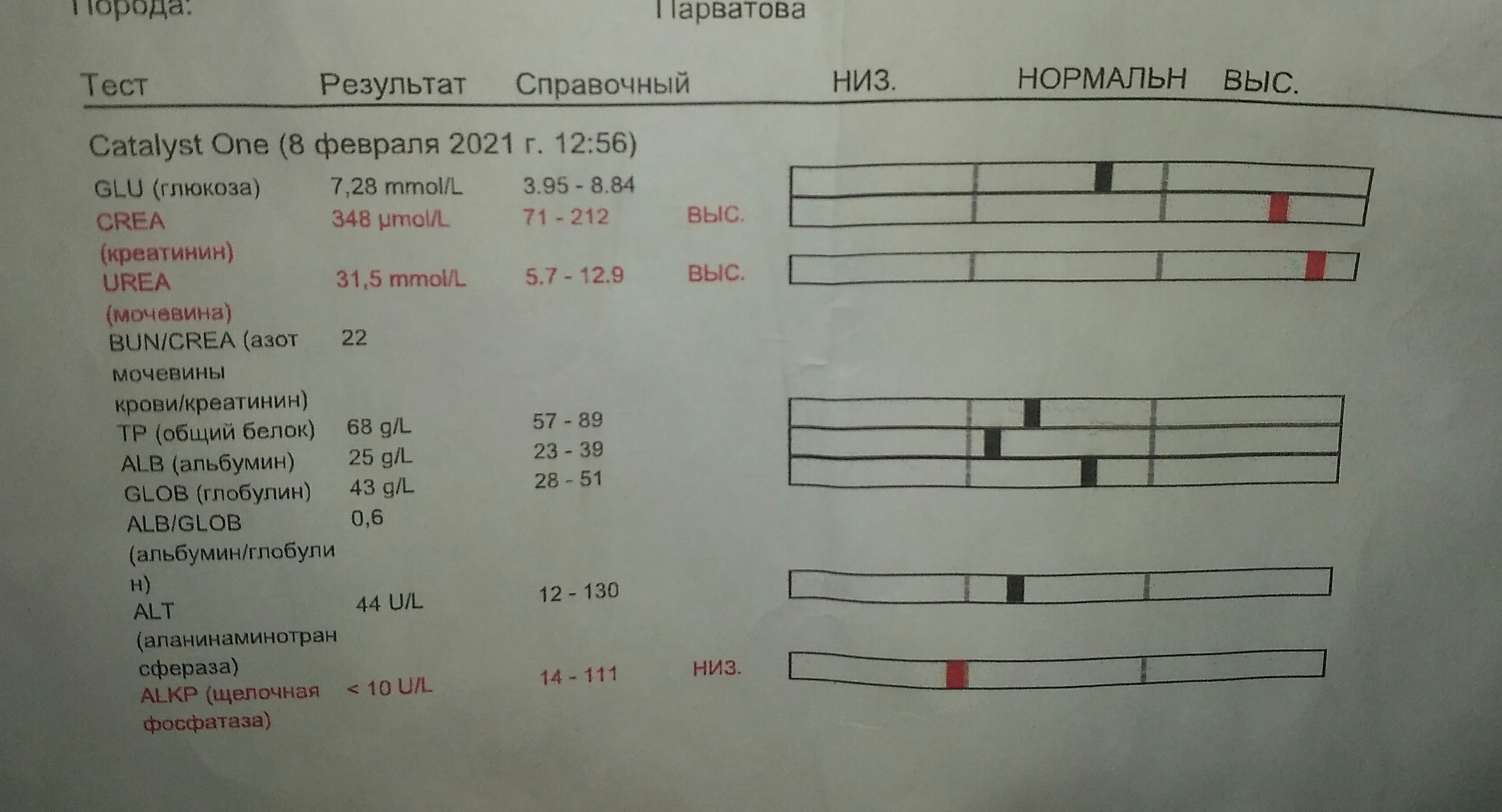 КОТЭ КАРПОВЫХ