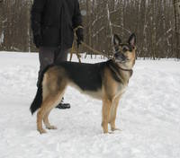 VFL.RU - ваш фотохостинг