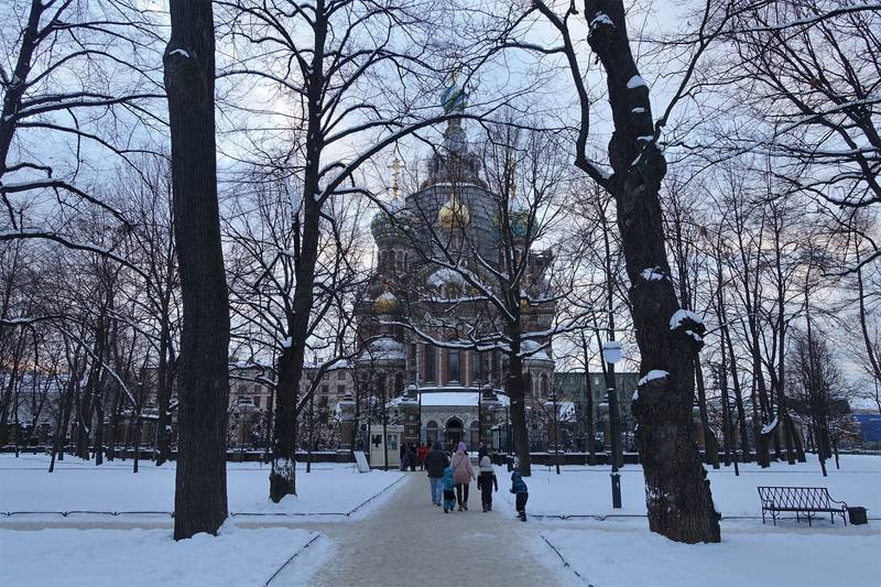 Спб михайловский сад фото