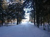 VFL.RU - ваш фотохостинг
