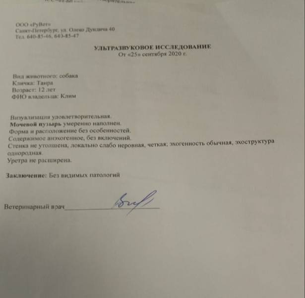 тая мочев
