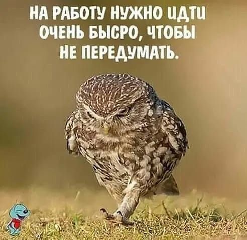 изображение viber 2021-02-24 10-32-50