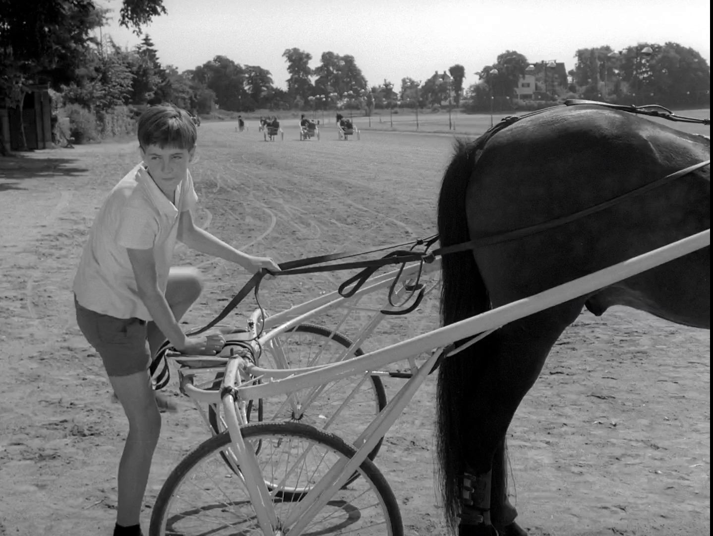 Den.Hvide.Hingst.1961.DANiSH.1080p.WEB-DL.H.264-BTAHP042