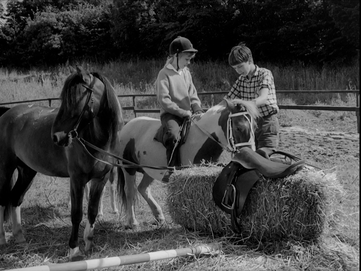 Den.Hvide.Hingst.1961.DANiSH.1080p.WEB-DL.H.264-BTAHP322