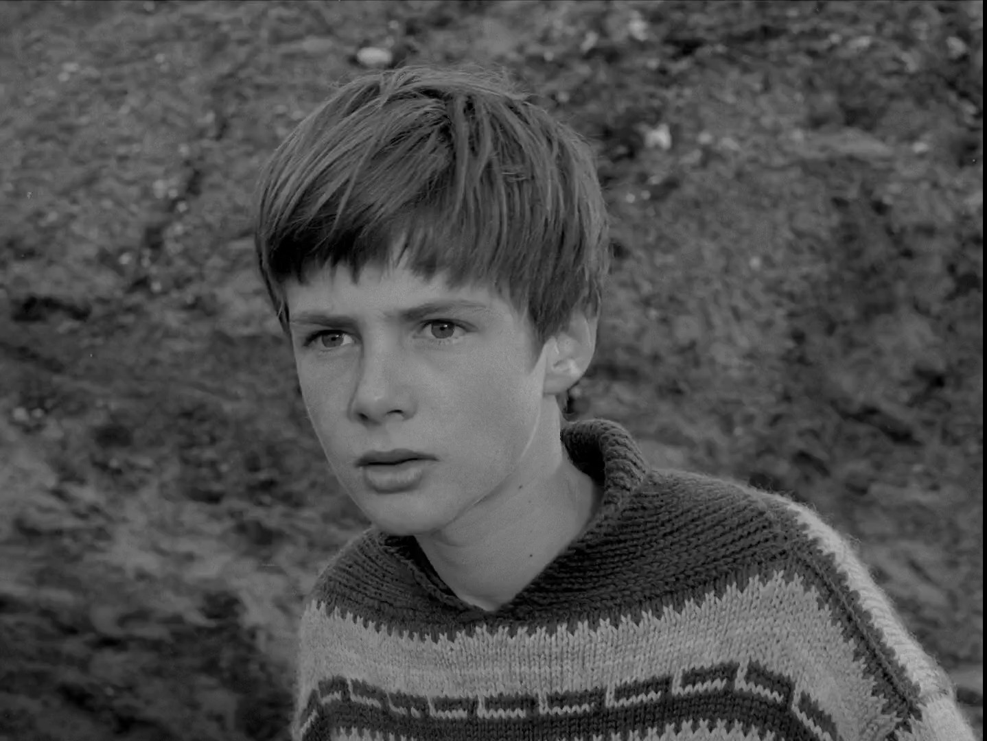 Den.Hvide.Hingst.1961.DANiSH.1080p.WEB-DL.H.264-BTAHP869