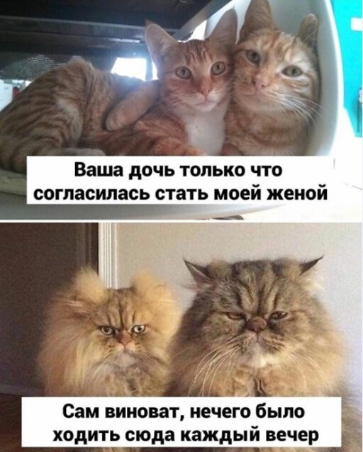 3957f53bdf43