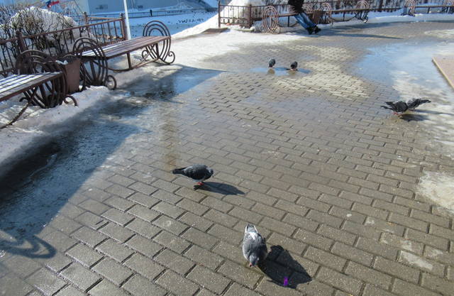 VFL.RU - ваш фотохостинг