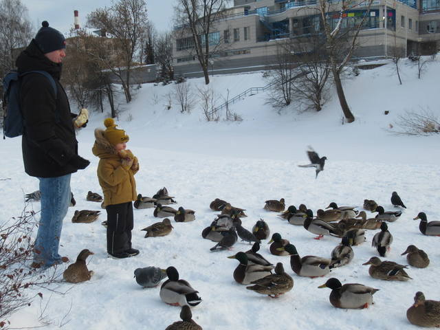 VFL.RU - ваш фотохостинг