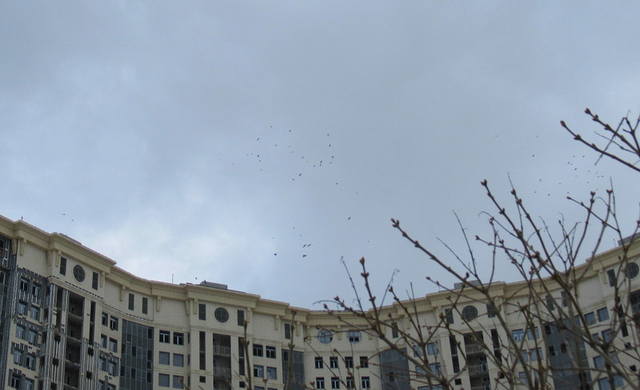 VFL.RU - ваш фотохостинг