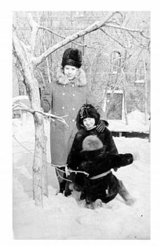 VFL.RU - ваш фотохостинг