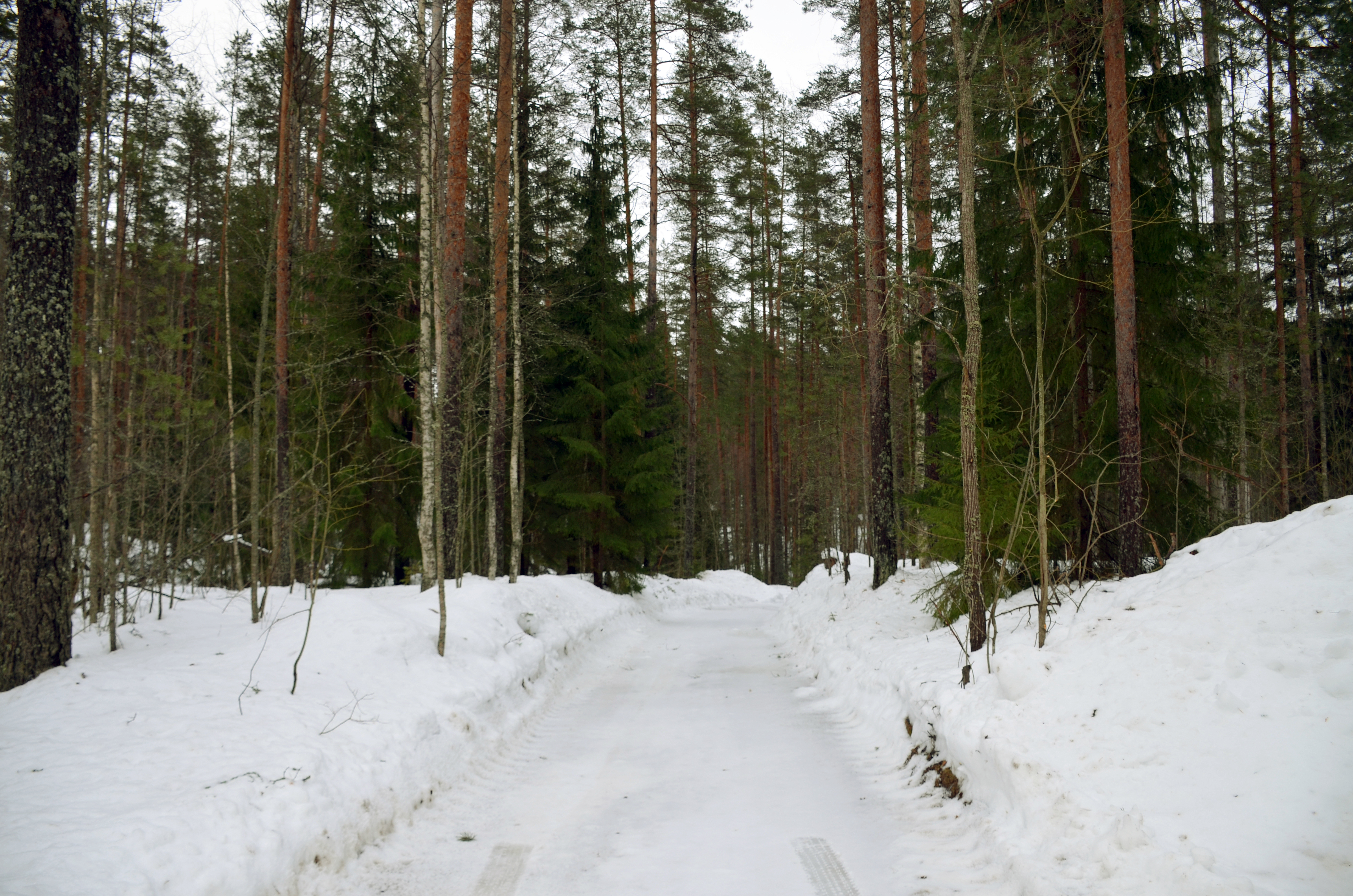 28 февраля 001