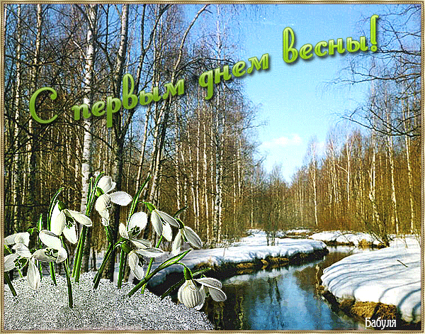 den-koshek-pervyy-den-vesny-53