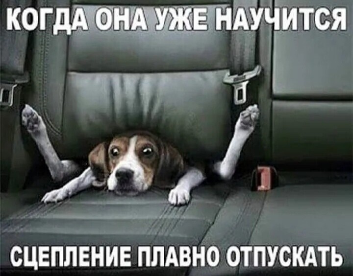C2dqzjfLc6