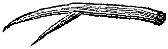 gg 1
