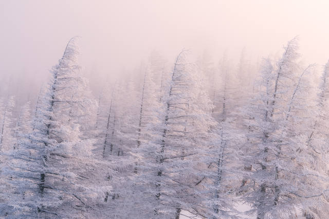 Evrhsk7VgAgEo9P