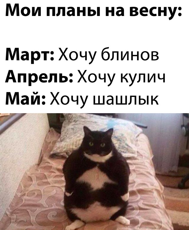 5pFU67NALv