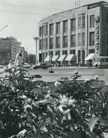 VFL.RU - ваш фотохостинг
