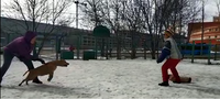VFL.RU - ваш фотохостинг