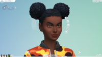 yfhair-ef29afropuffs.png.adapt.crop16x9.1455w
