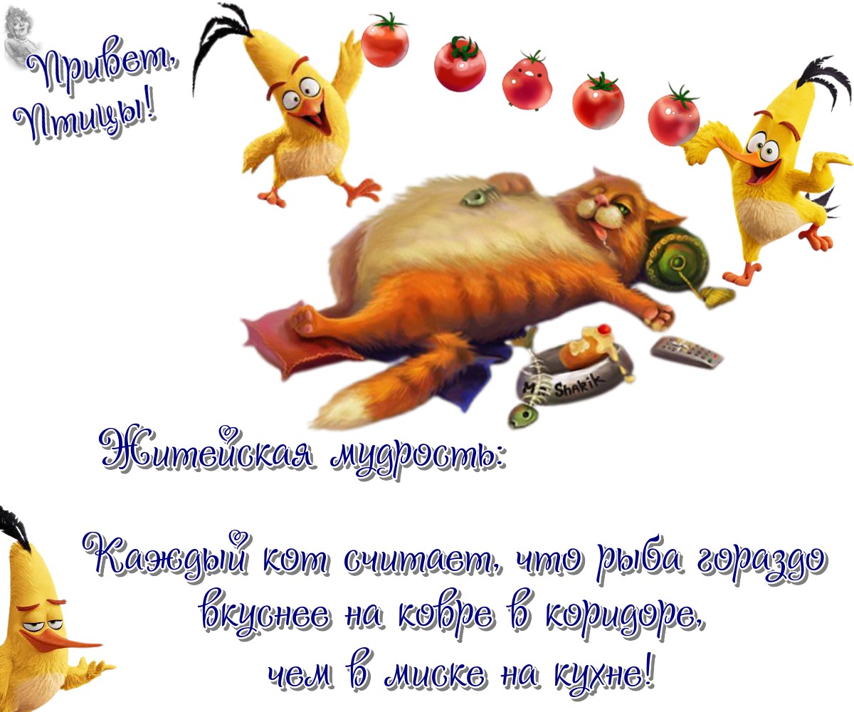 24 03