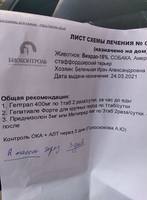 VFL.RU - ваш фотохостинг