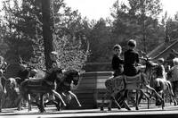 1964 Детская карусель Заельцовский парк