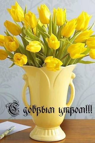 Tapтaлeтки & Ко