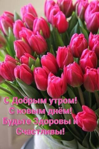 Tapтaлeтки & Ко