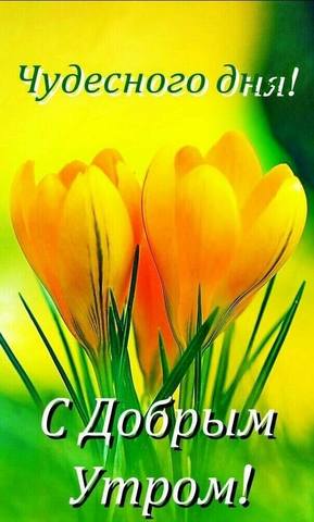 Tapтaлeтки & Ко