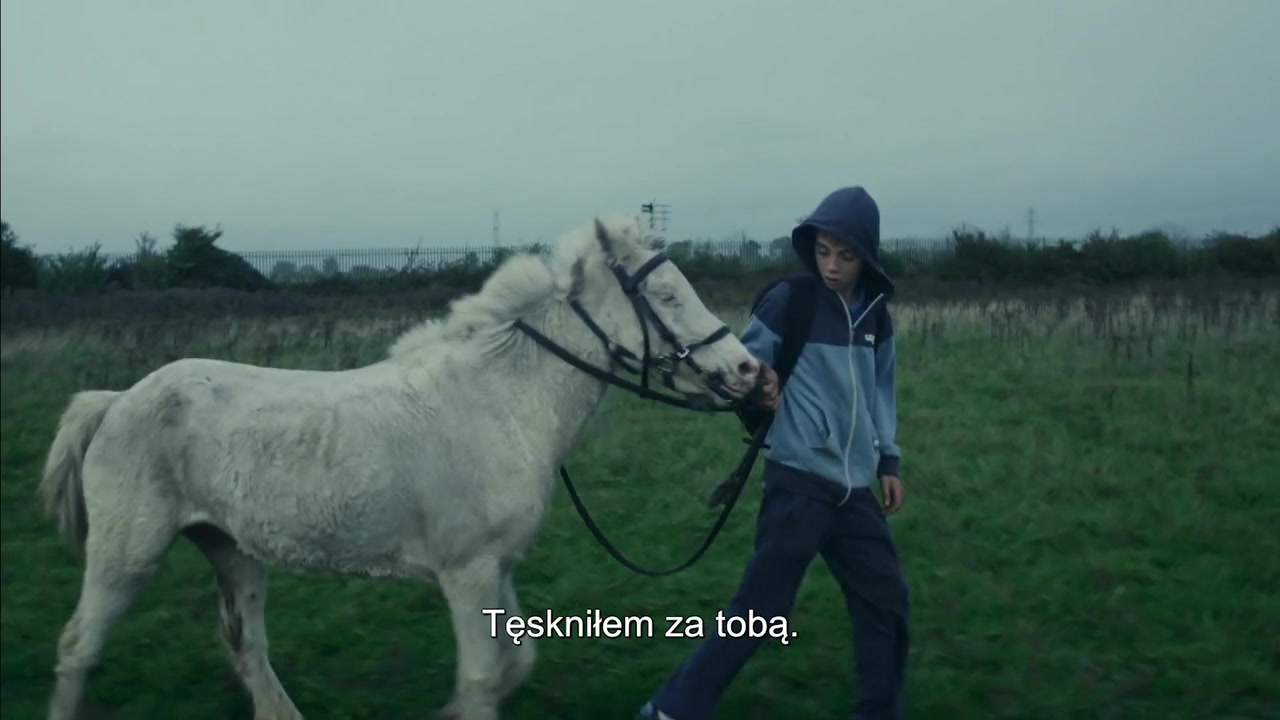 Urban Cowboys (Ziemilski, 2016) 226