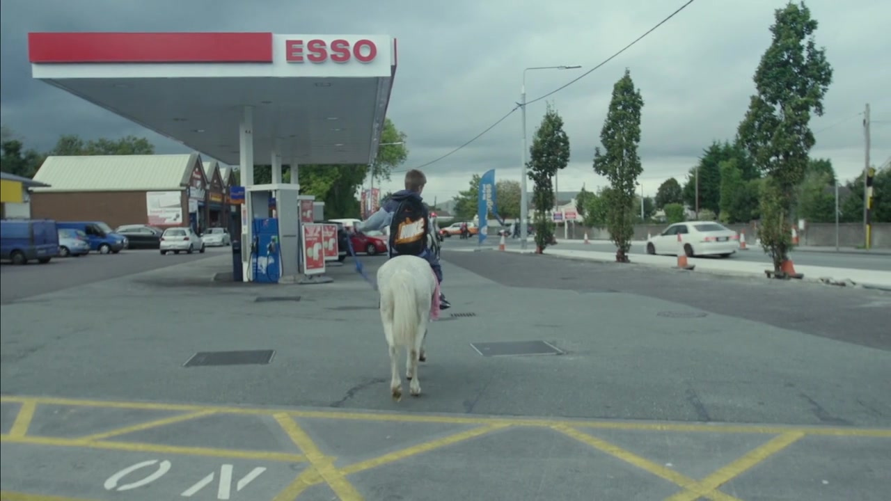 Urban Cowboys (Ziemilski, 2016) 348