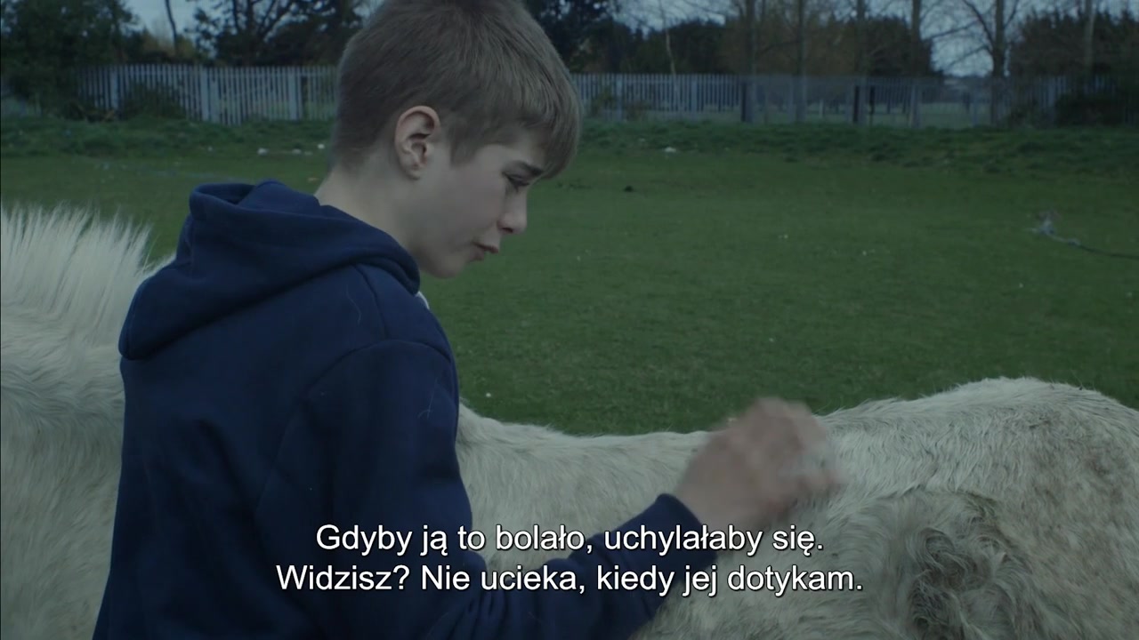 Urban Cowboys (Ziemilski, 2016) 383