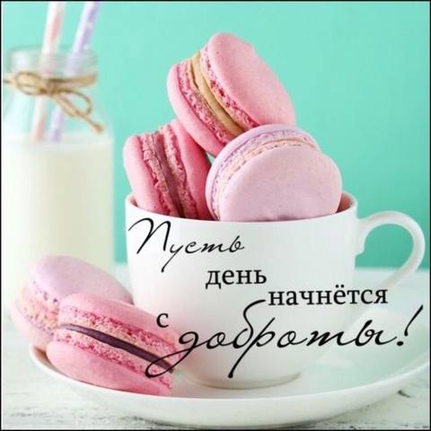 Tapтaлeтки & Ко