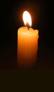 33951165_m.gif