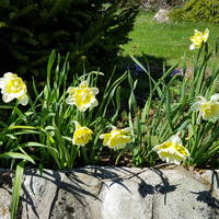 VFL.RU - ваш фотохостинг