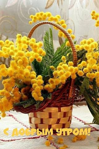 Tapтaлeтки & Ко