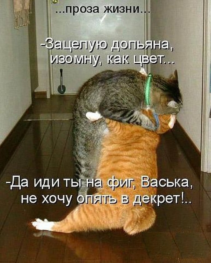 5IWIUk1QHS