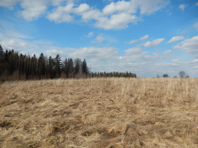орку (5)