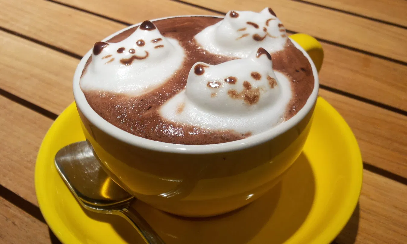 risunki-na-kofe-latte-art