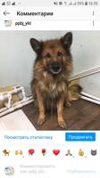 VFL.RU - ваш фотохостинг
