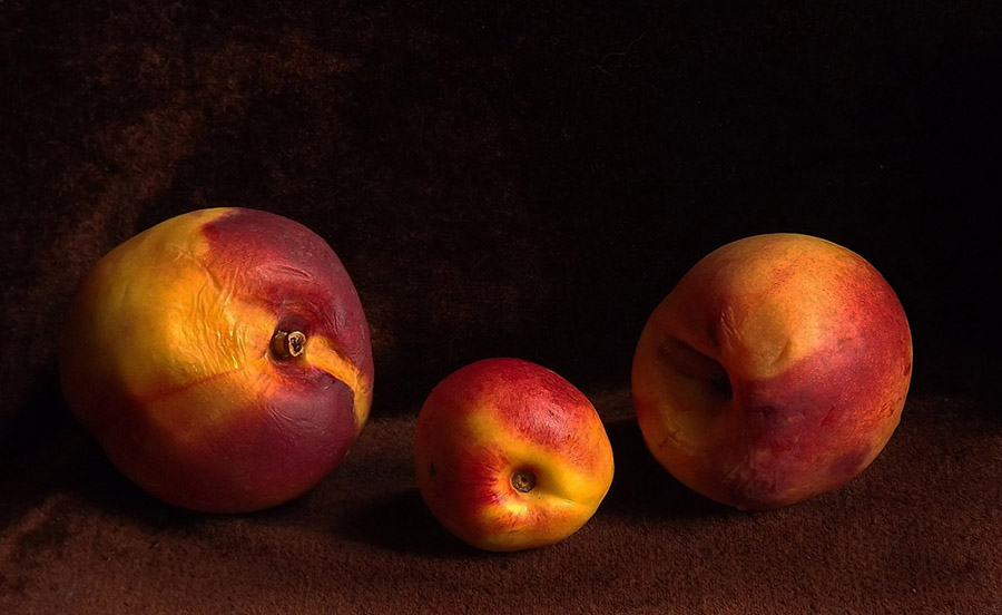 Фото Сергея Петрова5