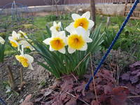 VFL.RU - ваш фотохостинг