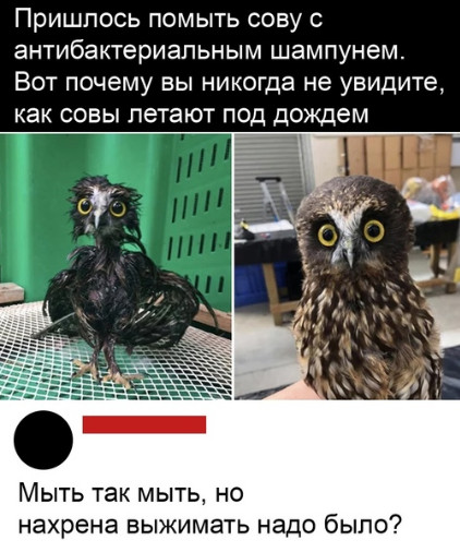 анекдот