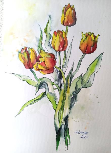 TULPEN 4