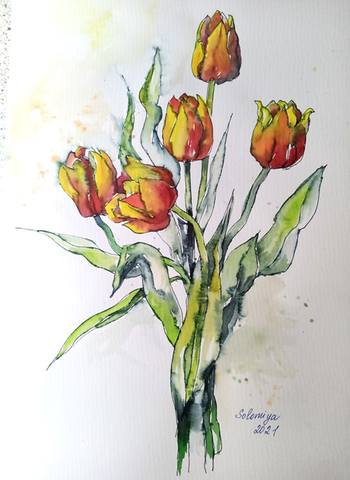 TULPEN 4