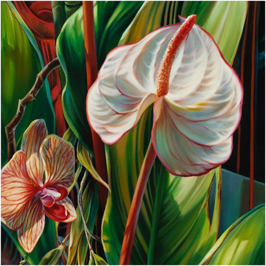 художник Ви Данн-Харр6