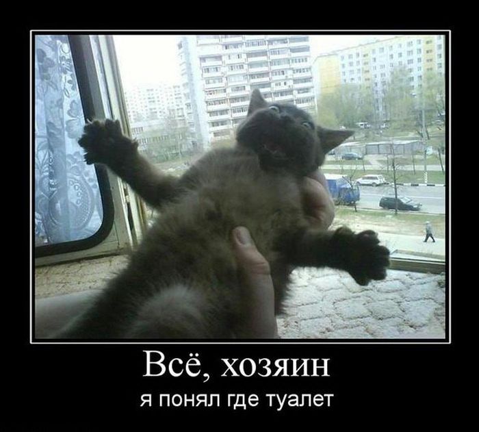 727a7918b703